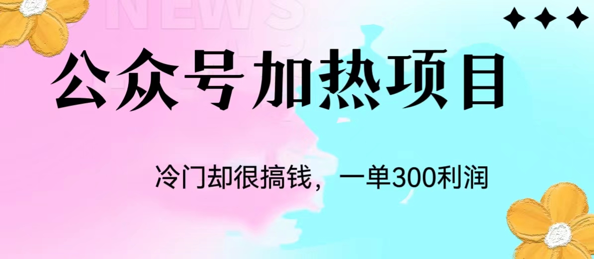 冷门公众号加热项目，每天1-2小时，一单100-300+128网创-网赚项目-副业赚钱-互联网创业-资源整合128网创