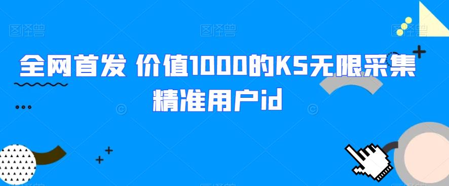 全网首发 价值1000的KS无限采集精准用户id128网创-网赚项目-副业赚钱-互联网创业-资源整合128网创